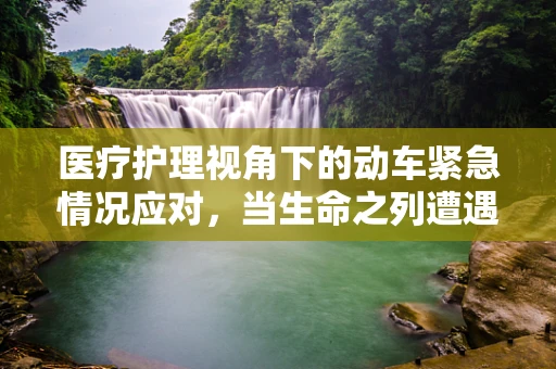医疗护理视角下的动车紧急情况应对，当生命之列遭遇突发状况