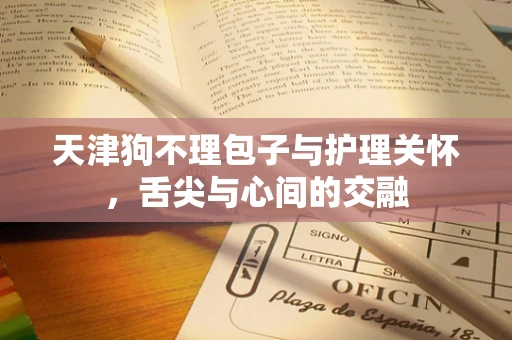 天津狗不理包子与护理关怀，舌尖与心间的交融