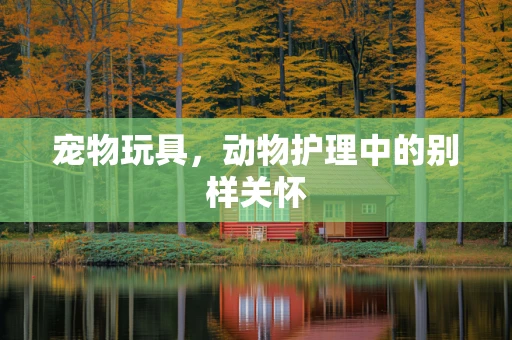 宠物玩具，动物护理中的别样关怀