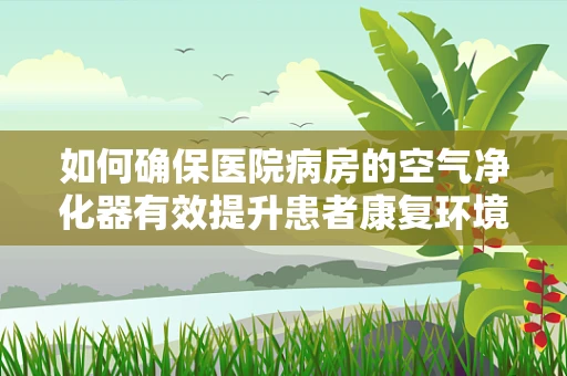 如何确保医院病房的空气净化器有效提升患者康复环境？