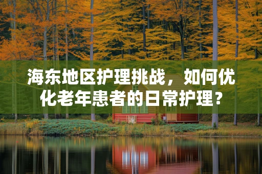 海东地区护理挑战，如何优化老年患者的日常护理？