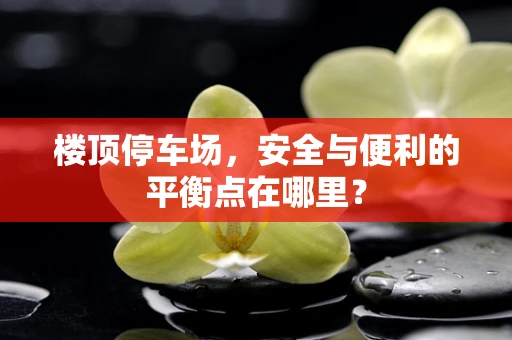 楼顶停车场，安全与便利的平衡点在哪里？