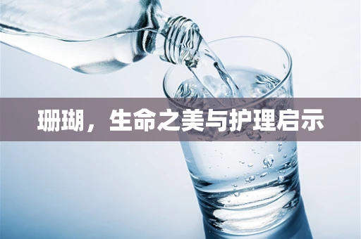 珊瑚，生命之美与护理启示