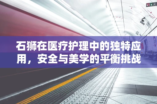石狮在医疗护理中的独特应用，安全与美学的平衡挑战