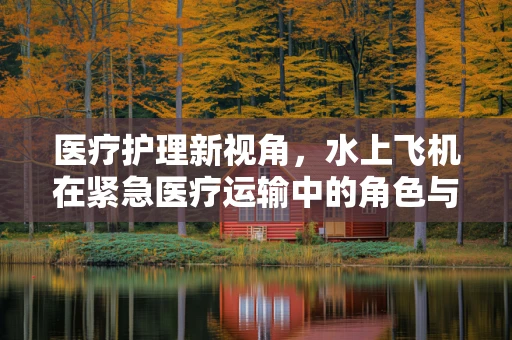医疗护理新视角，水上飞机在紧急医疗运输中的角色与挑战
