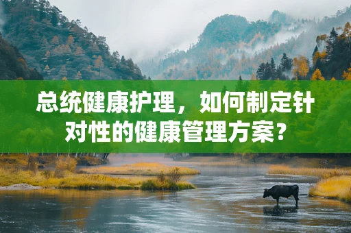 总统健康护理，如何制定针对性的健康管理方案？