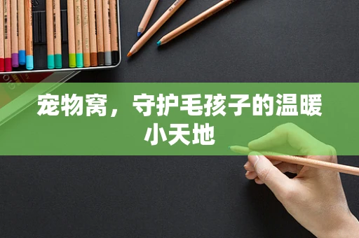 宠物窝，守护毛孩子的温暖小天地