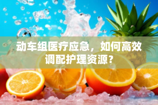 动车组医疗应急，如何高效调配护理资源？