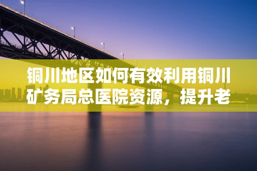 铜川地区如何有效利用铜川矿务局总医院资源，提升老年患者护理质量？