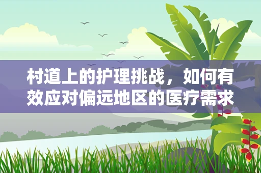 村道上的护理挑战，如何有效应对偏远地区的医疗需求？