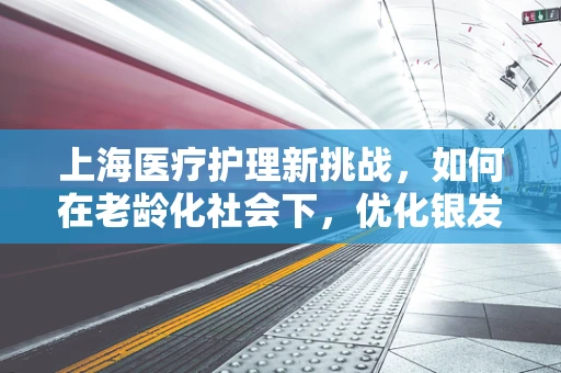 上海医疗护理新挑战，如何在老龄化社会下，优化银发族的住院体验？