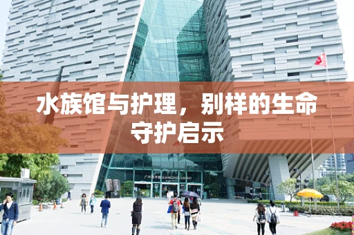 水族馆与护理，别样的生命守护启示