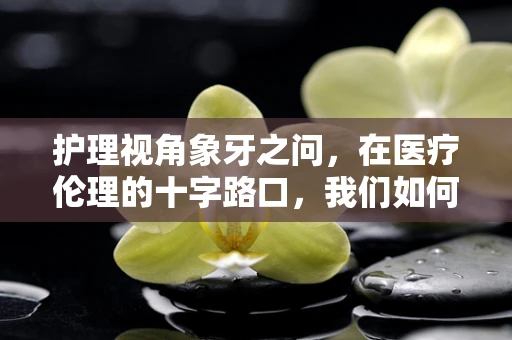 护理视角象牙之问，在医疗伦理的十字路口，我们如何守护生命的尊严？