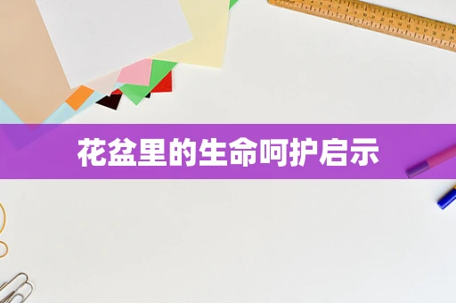 花盆里的生命呵护启示