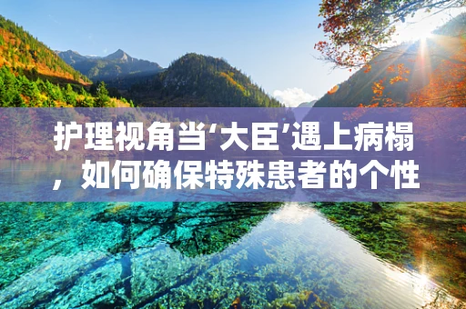 护理视角当‘大臣’遇上病榻，如何确保特殊患者的个性化护理需求？