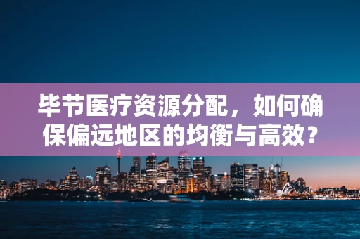 毕节医疗资源分配，如何确保偏远地区的均衡与高效？
