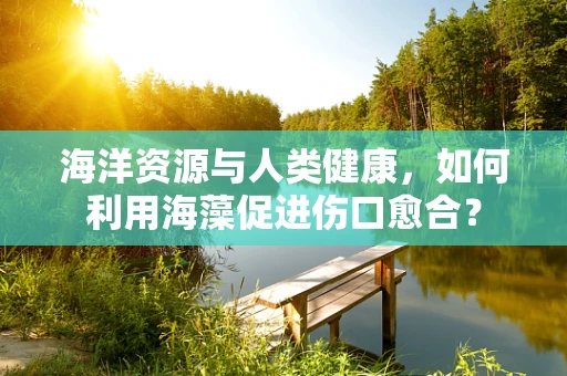 海洋资源与人类健康，如何利用海藻促进伤口愈合？
