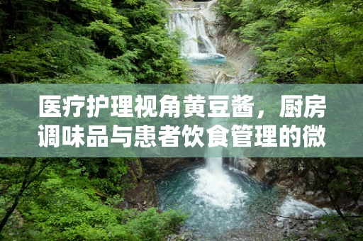 医疗护理视角黄豆酱，厨房调味品与患者饮食管理的微妙平衡