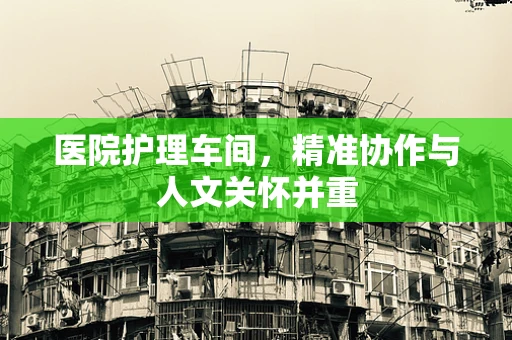 医院护理车间，精准协作与人文关怀并重
