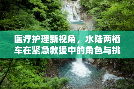 医疗护理新视角，水陆两栖车在紧急救援中的角色与挑战