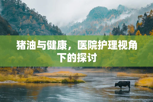 猪油与健康，医院护理视角下的探讨