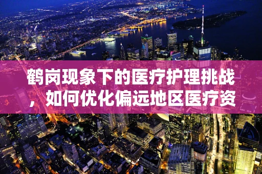 鹤岗现象下的医疗护理挑战，如何优化偏远地区医疗资源？