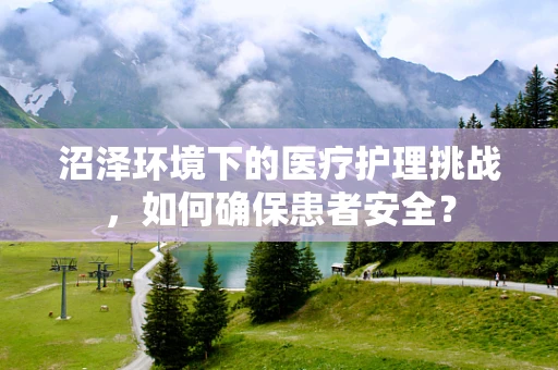 沼泽环境下的医疗护理挑战，如何确保患者安全？