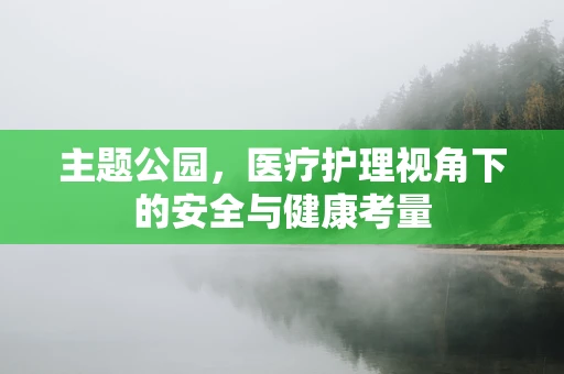主题公园，医疗护理视角下的安全与健康考量