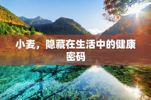 小麦，隐藏在生活中的健康密码