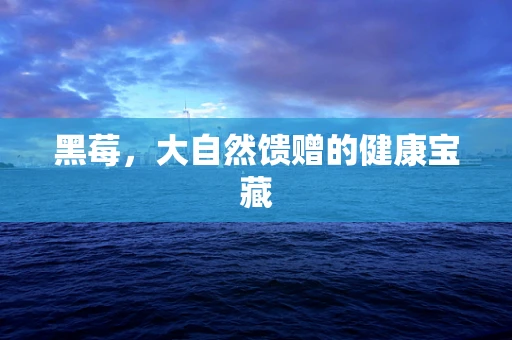 黑莓，大自然馈赠的健康宝藏
