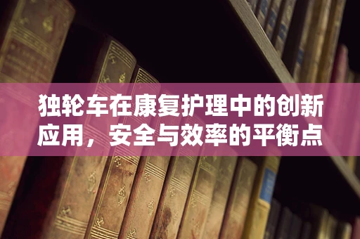 独轮车在康复护理中的创新应用，安全与效率的平衡点在哪里？