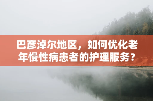 巴彦淖尔地区，如何优化老年慢性病患者的护理服务？