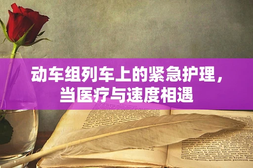 动车组列车上的紧急护理，当医疗与速度相遇