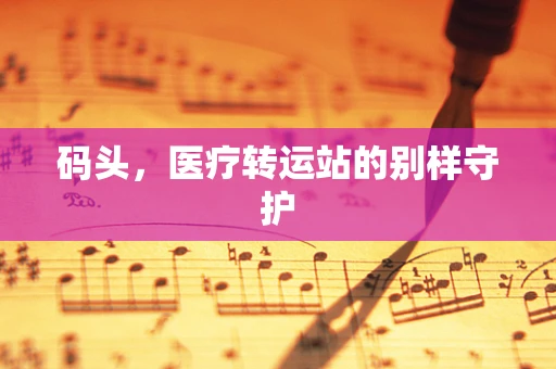 码头，医疗转运站的别样守护
