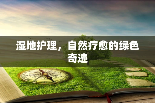 湿地护理，自然疗愈的绿色奇迹
