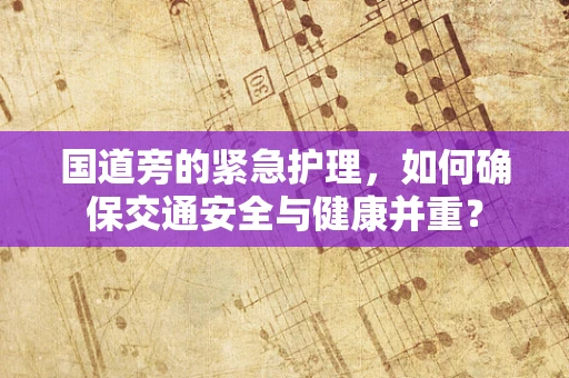 国道旁的紧急护理，如何确保交通安全与健康并重？