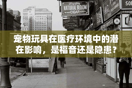 宠物玩具在医疗环境中的潜在影响，是福音还是隐患？