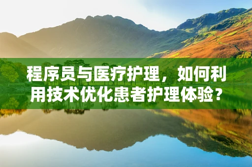 程序员与医疗护理，如何利用技术优化患者护理体验？