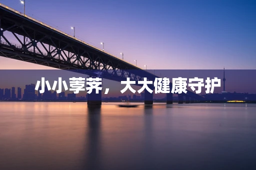 小小荸荠，大大健康守护