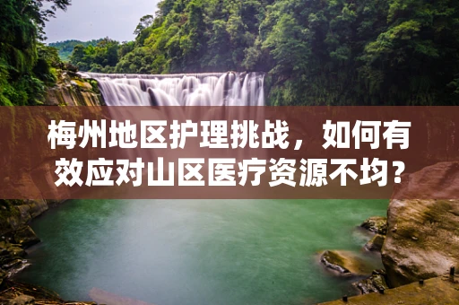 梅州地区护理挑战，如何有效应对山区医疗资源不均？