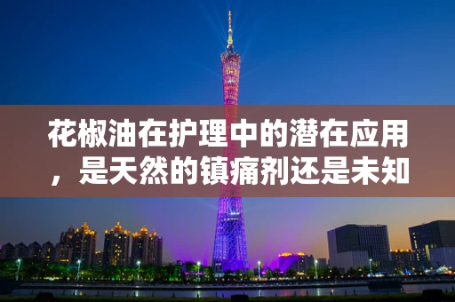 花椒油在护理中的潜在应用，是天然的镇痛剂还是未知的挑战？