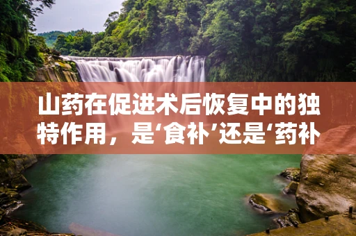 山药在促进术后恢复中的独特作用，是‘食补’还是‘药补’的优选吗？