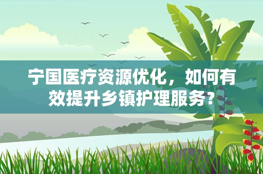 宁国医疗资源优化，如何有效提升乡镇护理服务？