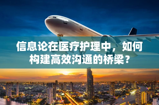 信息论在医疗护理中，如何构建高效沟通的桥梁？