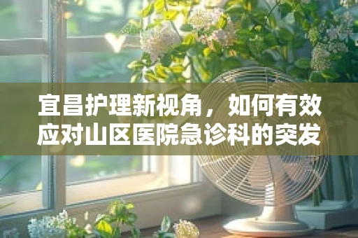 宜昌护理新视角，如何有效应对山区医院急诊科的突发情况？