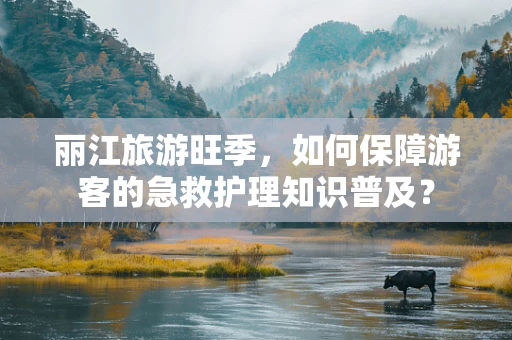 丽江旅游旺季，如何保障游客的急救护理知识普及？