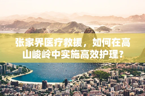 张家界医疗救援，如何在高山峻岭中实施高效护理？