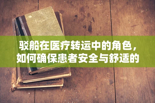 驳船在医疗转运中的角色，如何确保患者安全与舒适的‘水上桥梁’？
