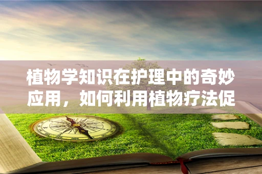 植物学知识在护理中的奇妙应用，如何利用植物疗法促进患者康复？
