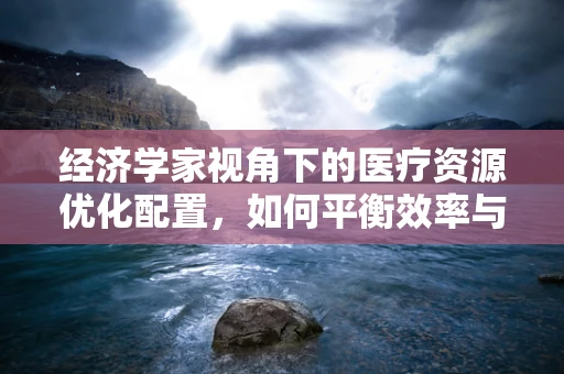 经济学家视角下的医疗资源优化配置，如何平衡效率与公平？